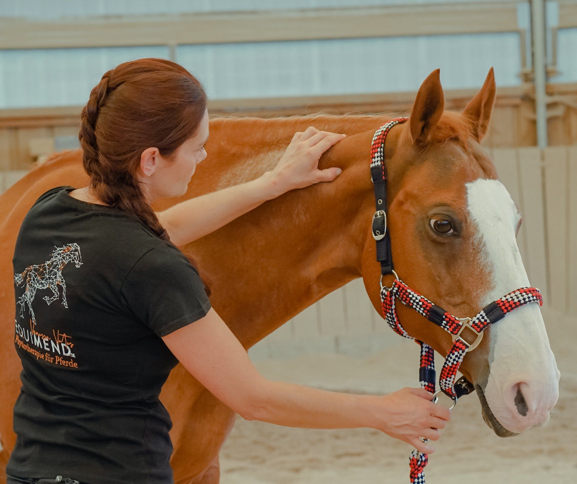 Equimend_Physiotherpie_fuer_Pferde_Vanessa_Vates_Kulmbach_Oberfranken_Bayern_Pferde_Therapie_Pferdephysiotherapie