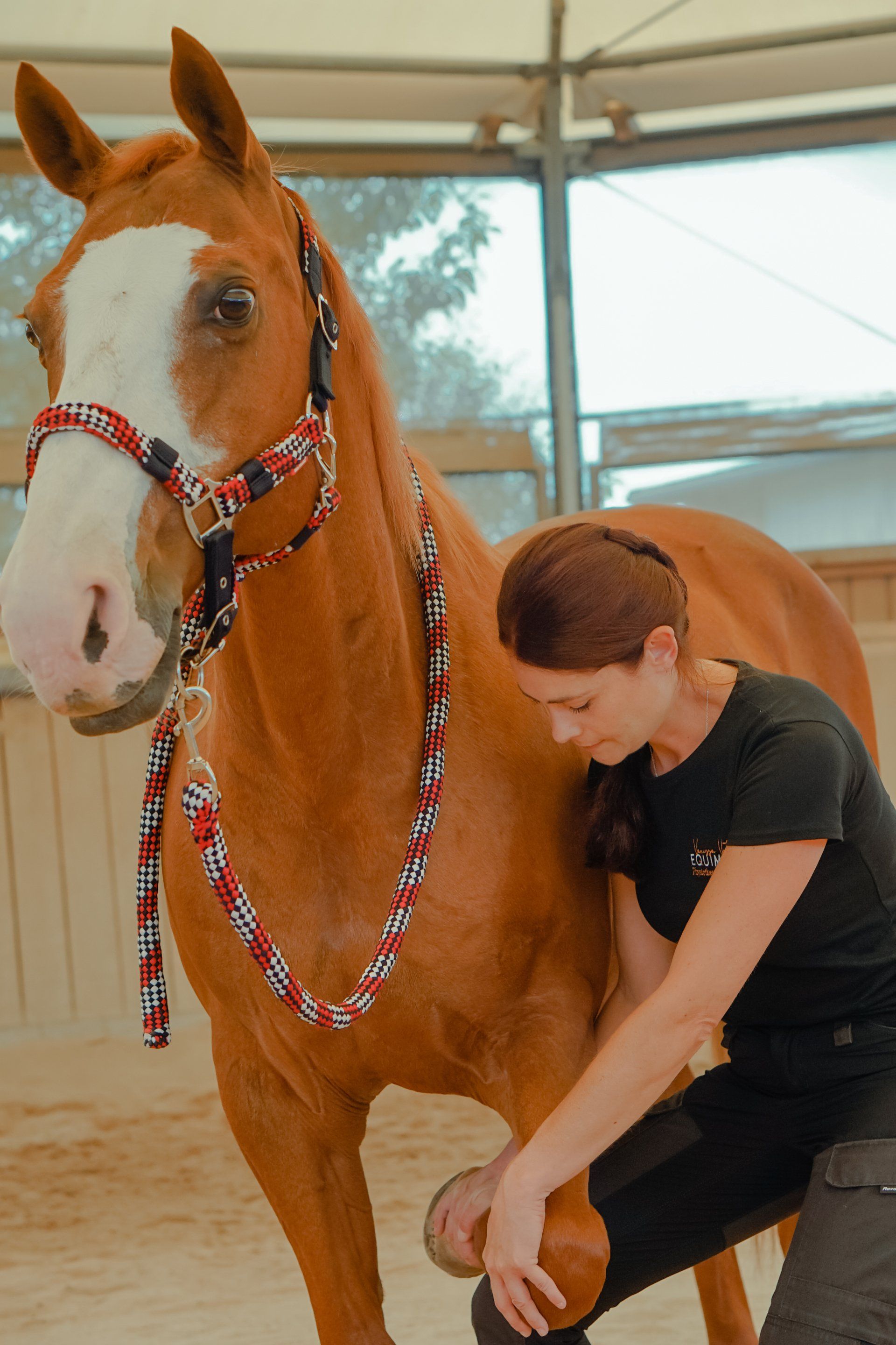 Equimend_Physiotherpie_fuer_Pferde_Vanessa_Vates_Kulmbach_Oberfranken_Bayern_Pferde_Therapie_Pferdephysiotherapie