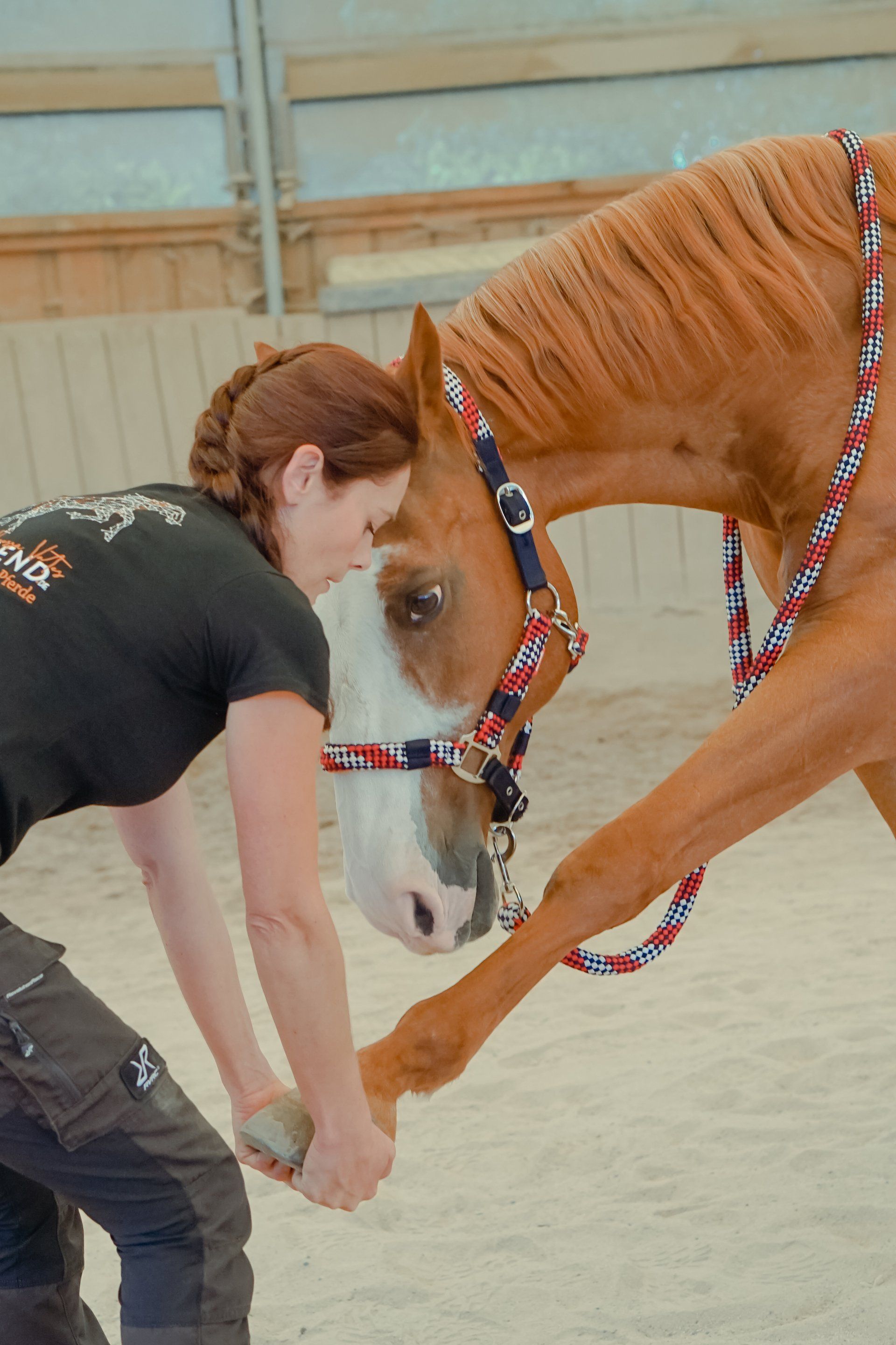 Equimend_Physiotherpie_fuer_Pferde_Vanessa_Vates_Kulmbach_Oberfranken_Bayern_Pferde_Therapie_Pferdephysiotherapie