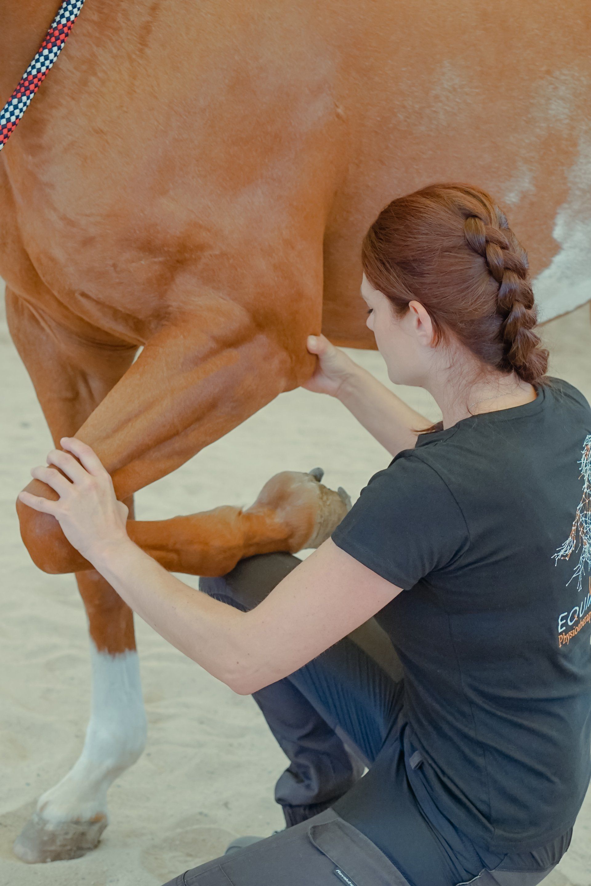 Equimend_Physiotherpie_fuer_Pferde_Vanessa_Vates_Kulmbach_Oberfranken_Bayern_Pferde_Therapie_Pferdephysiotherapie