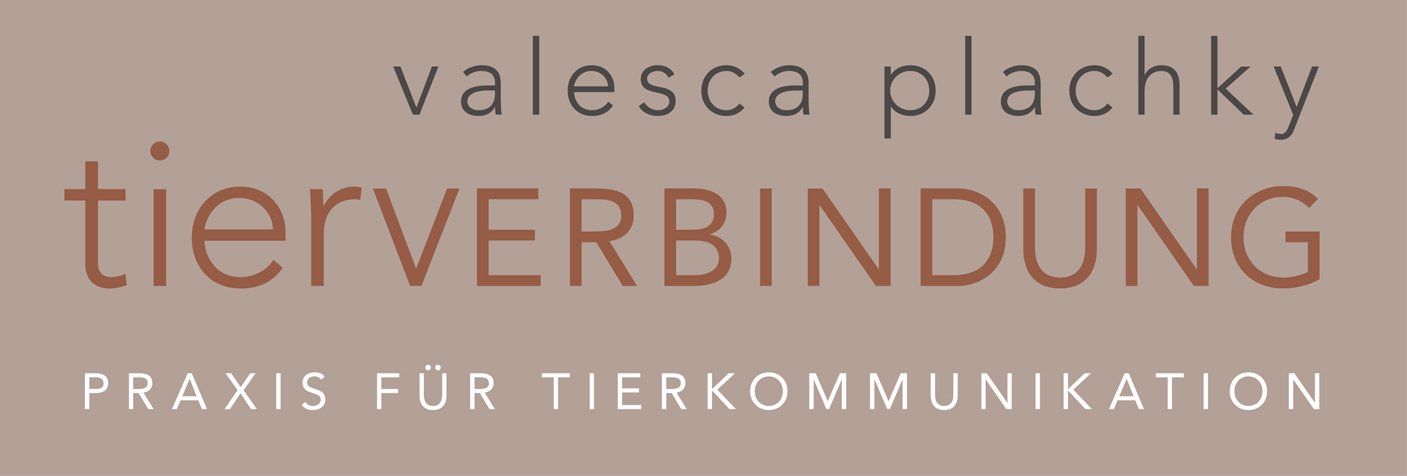 Tierkommunikation, Tiergespräch, telepathisches Tiergespräch, telepathische Verbindung, Tiertelepathie, Tierpsychologie, Tierkommunikatorin, tierische Verhaltensberatung, Tiernaturheilkunde, Verhaltensprobleme, Verhaltensstörung, vermisste Tiere, Tiere, Hund, Katze, Pferd, Valesca Plachky, Tierverbindung, Tierhomöopathie, Seelengespräch, Praxis, Wiesbaden, Bad Schwalbach, Praxis Tierkommunikation, Tierhilfe, Tiernothilfe, Hundeerziehung, Pferdeflüsterer, Hundeflüsterer, Katzenflüsterer, Tierflüsterer