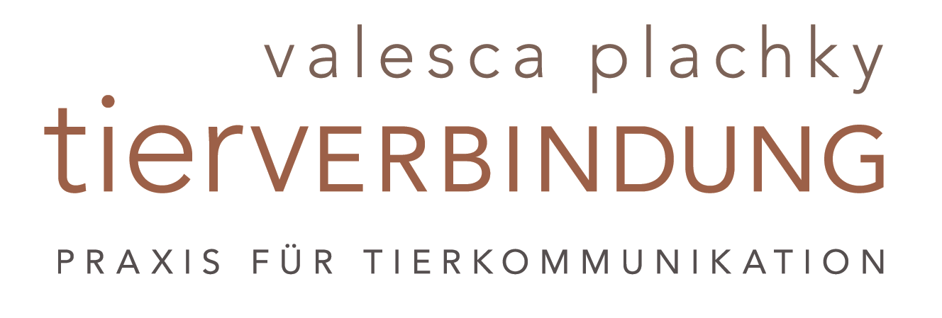 Valesca Plachky, Tierkommunikation, Tiergespräch, telepathisches Tiergespräch, telepathische Verbindung, Tiertelepathie, Tierpsychologie, Tierkommunikatorin, tierische Verhaltensberatung, Tiernaturheilkunde, Verhaltensprobleme, Verhaltensstörung, vermisste Tiere, Tiere, Hund, Katze, Pferd, Valesca Plachky, Tierverbindung, Tierhomöopathie, Seelengespräch, Praxis, Wiesbaden, Bad Schwalbach, Praxis Tierkommunikation, Tierhilfe, Tiernothilfe, Hundeerziehung, Pferdeflüsterer, Hundeflüsterer, Katzenflüsterer, Tierflüsterer