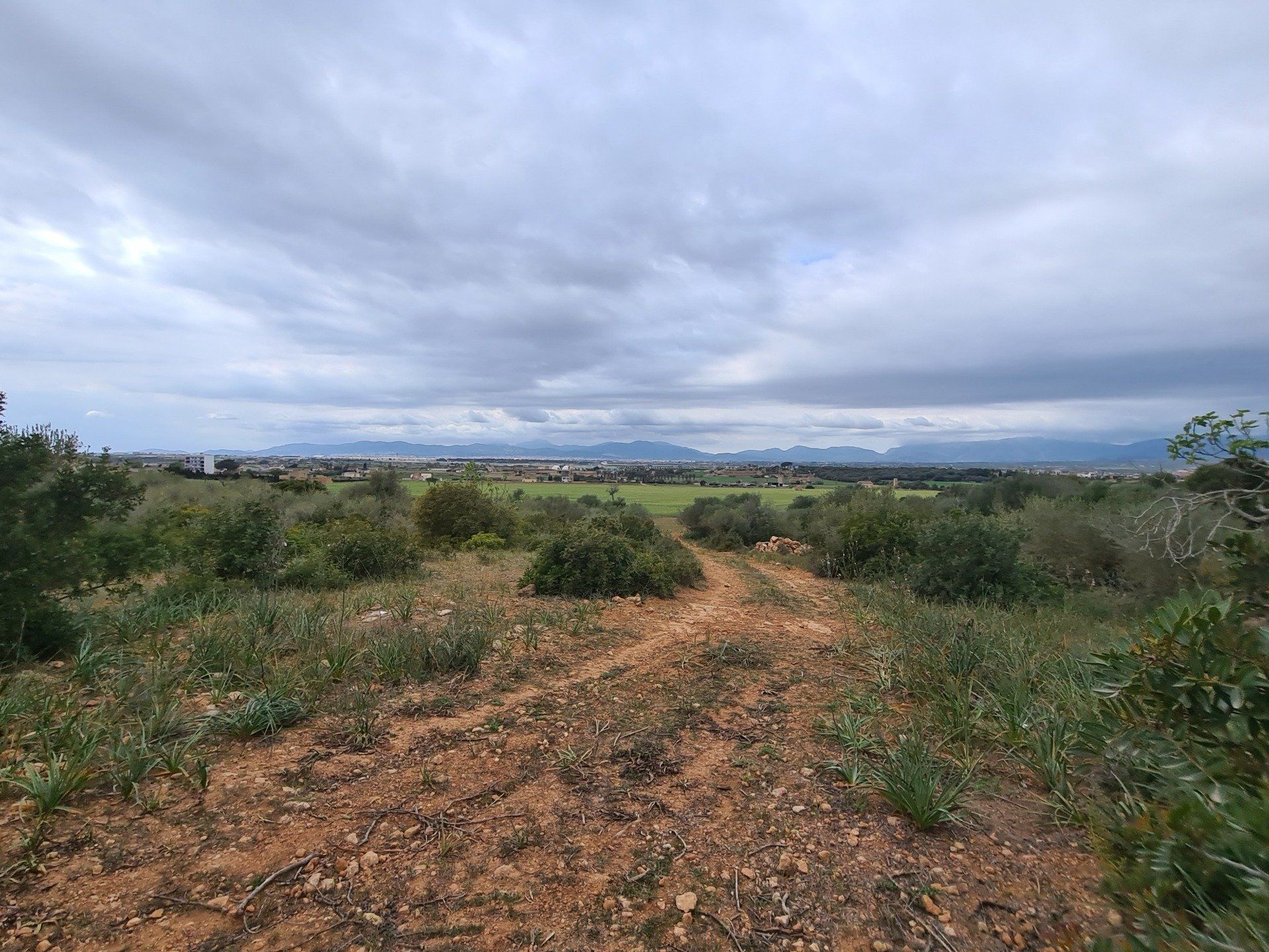 terrenos venta mallorca