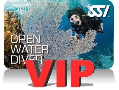 SSI Open Water Diver VIP Kurs in Köln