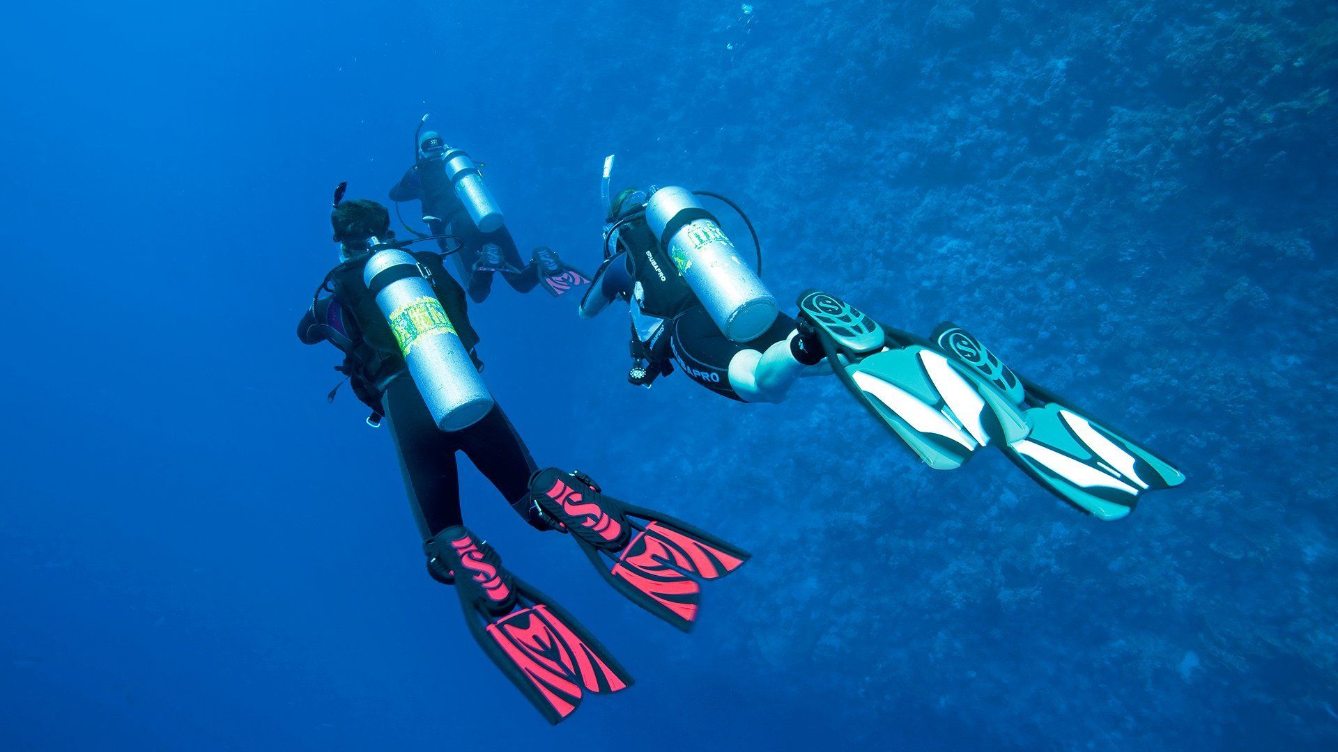 SSI Tauchchule in Köln