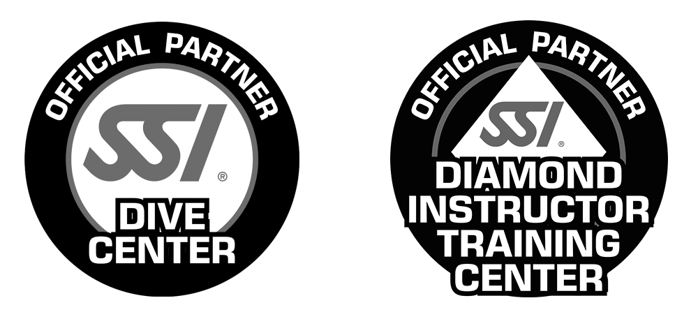 SSI LOGO