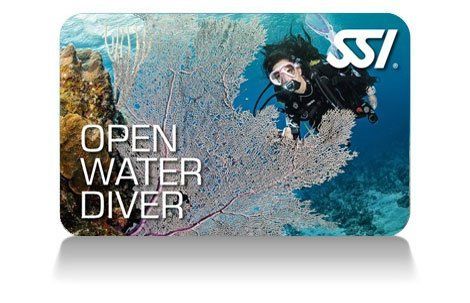SSI Open Water Diver Brevet, Tauchen lernen Schein