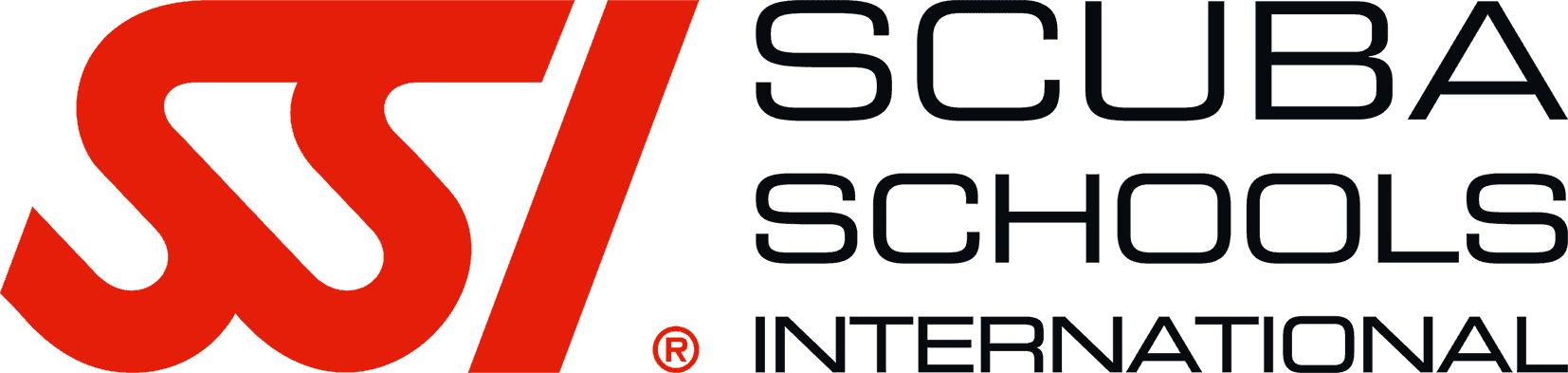 SSI LOGO