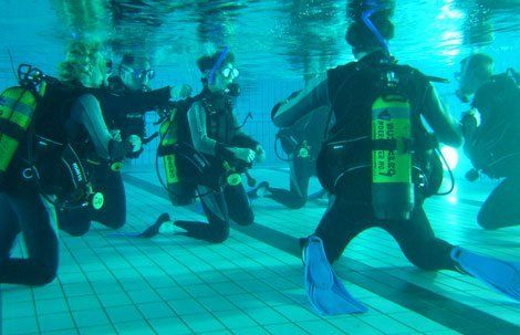 Schnuppertauchen im Schwimmbad