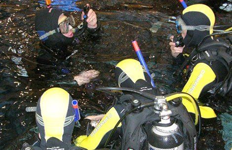 Tauchen lernen im Schwimmbad