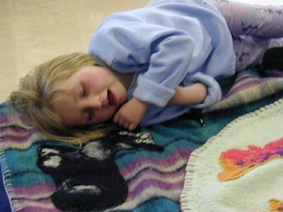 Felt Making & Recycled Blankets Felt Making & Recycled Blankets