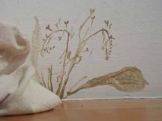 Weaving a Walk Weaving a Walk