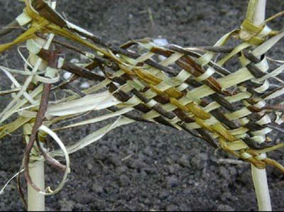 Houghton Hall Park Residency Houghton Hall Park Residency