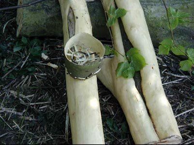 Houghton Hall Park Residency Houghton Hall Park Residency