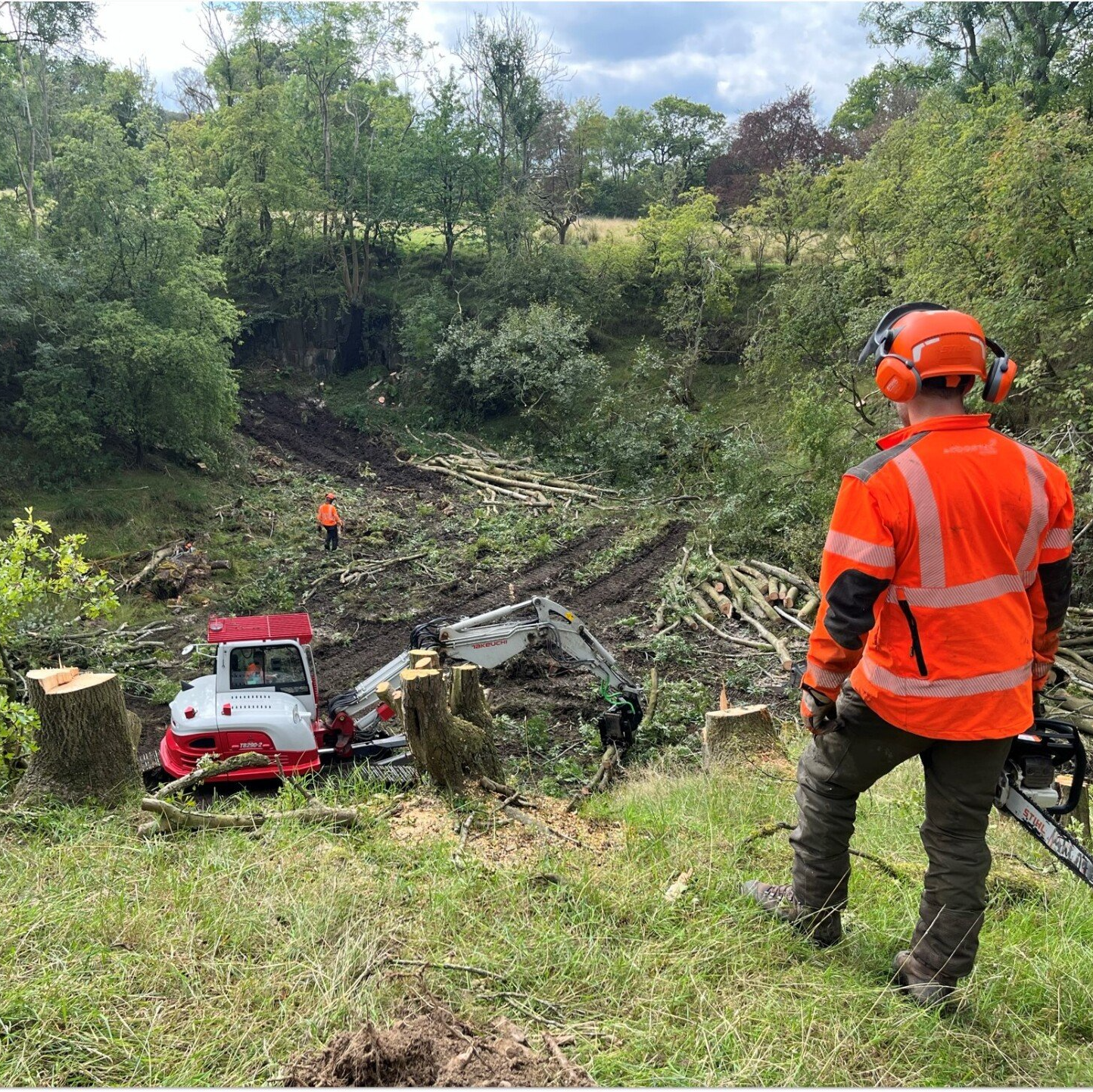 Takeuchi excavator tree shearing and hand felling
