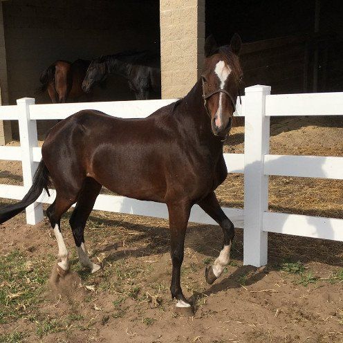 Stretching out the legs.
