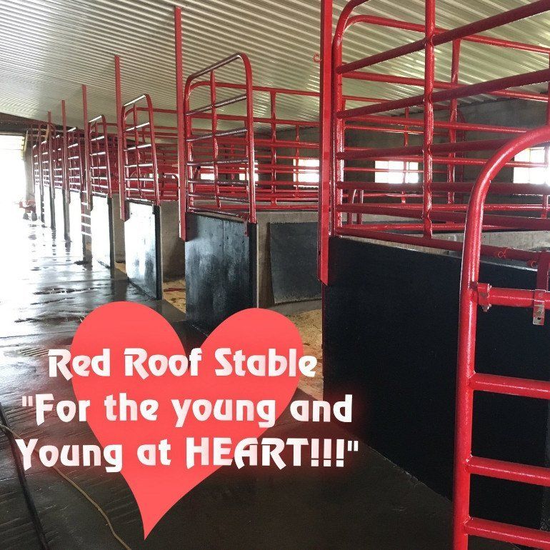 The stalls.