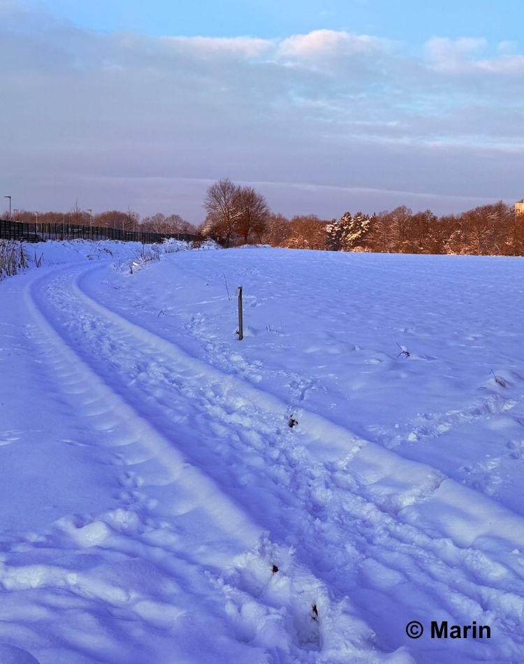 Ausfahrt Bahnhof Glinde