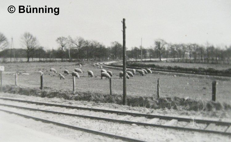 Anschluss KuHa am Bhf Glinde mit eigenem Bahnsteig in der Kurve 1936