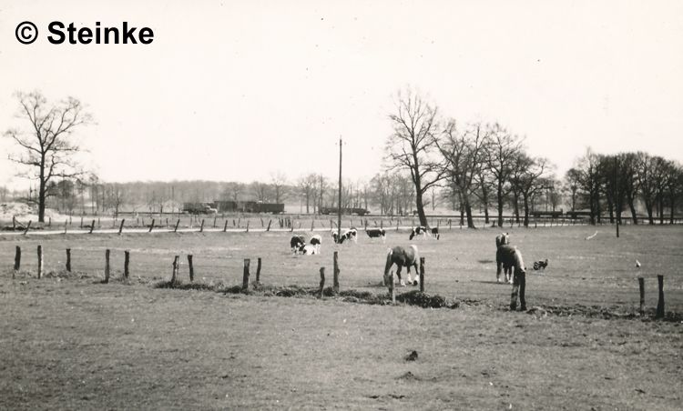 Glinde Bhf um 1950