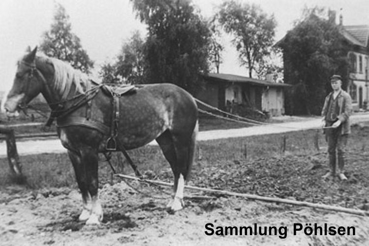 Feldarbeit am Bhf Willinghusen - Stemwarde