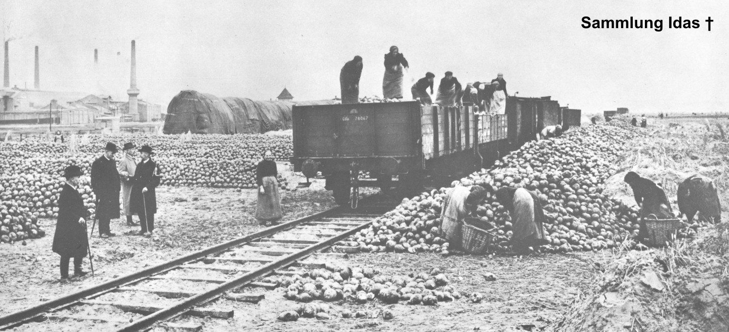 Rübenverladung im Bhf Billwerder Winter 1916/1917