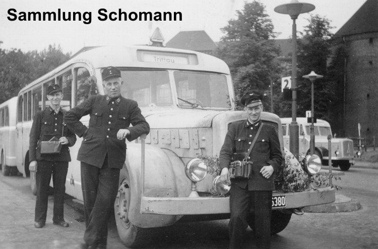 Bus Nr. 17