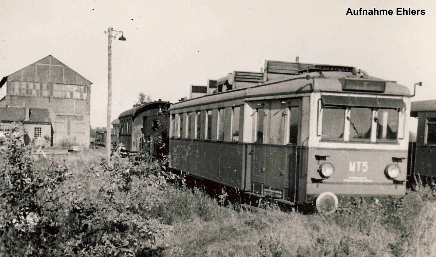 MT5 in Willinghusen - Stemwarde