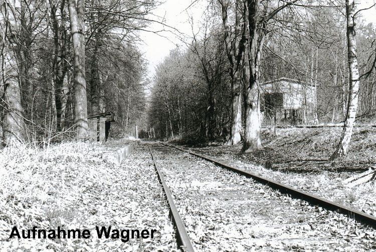 Zufahrtsgleis mit Bahnsteig und Lokschuppen 1998