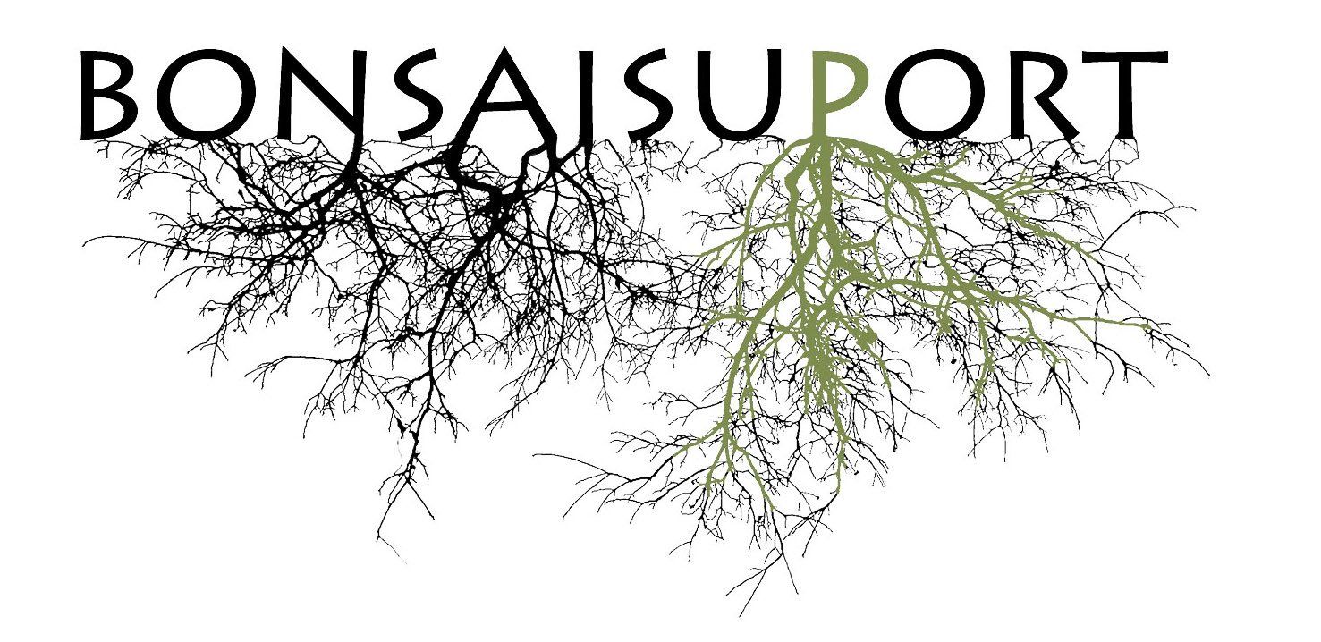 Macetas de bonsai y piezas de  autor