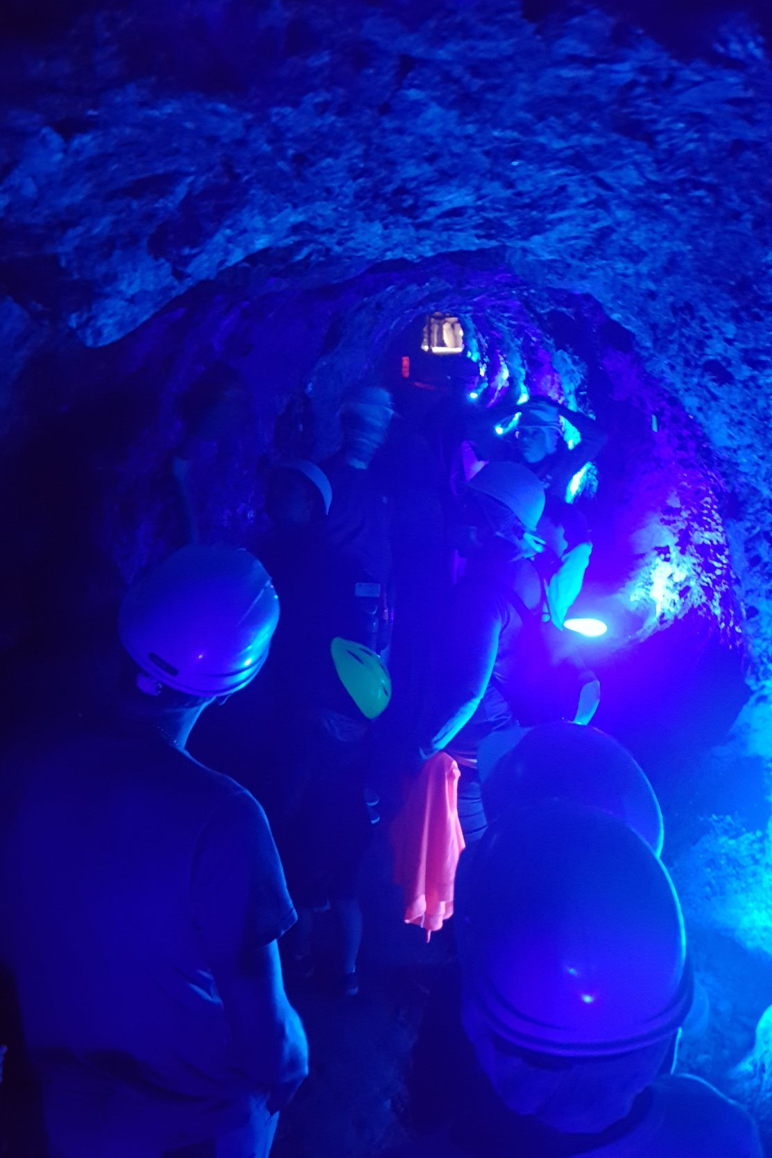 visites musée galeries