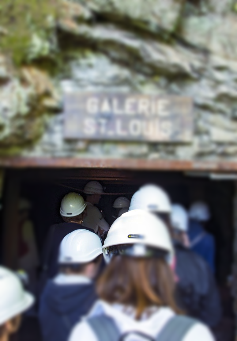 visites musée galeries groupes scolaire