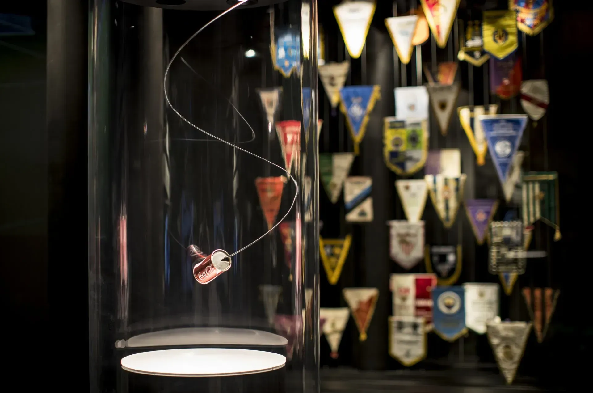 Fohlen Welt Magische Nächte