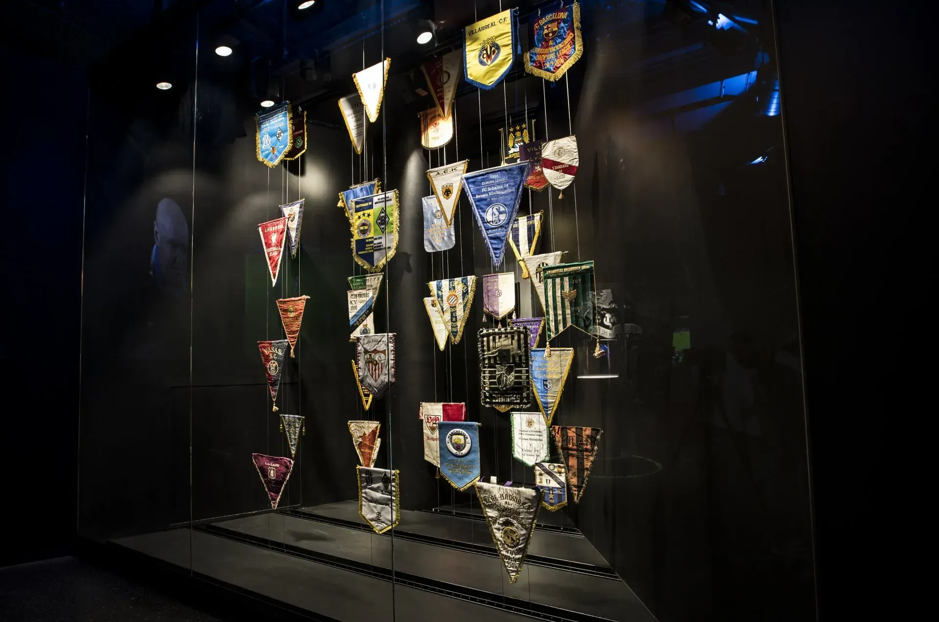 Fohlen Welt Magische Nächte