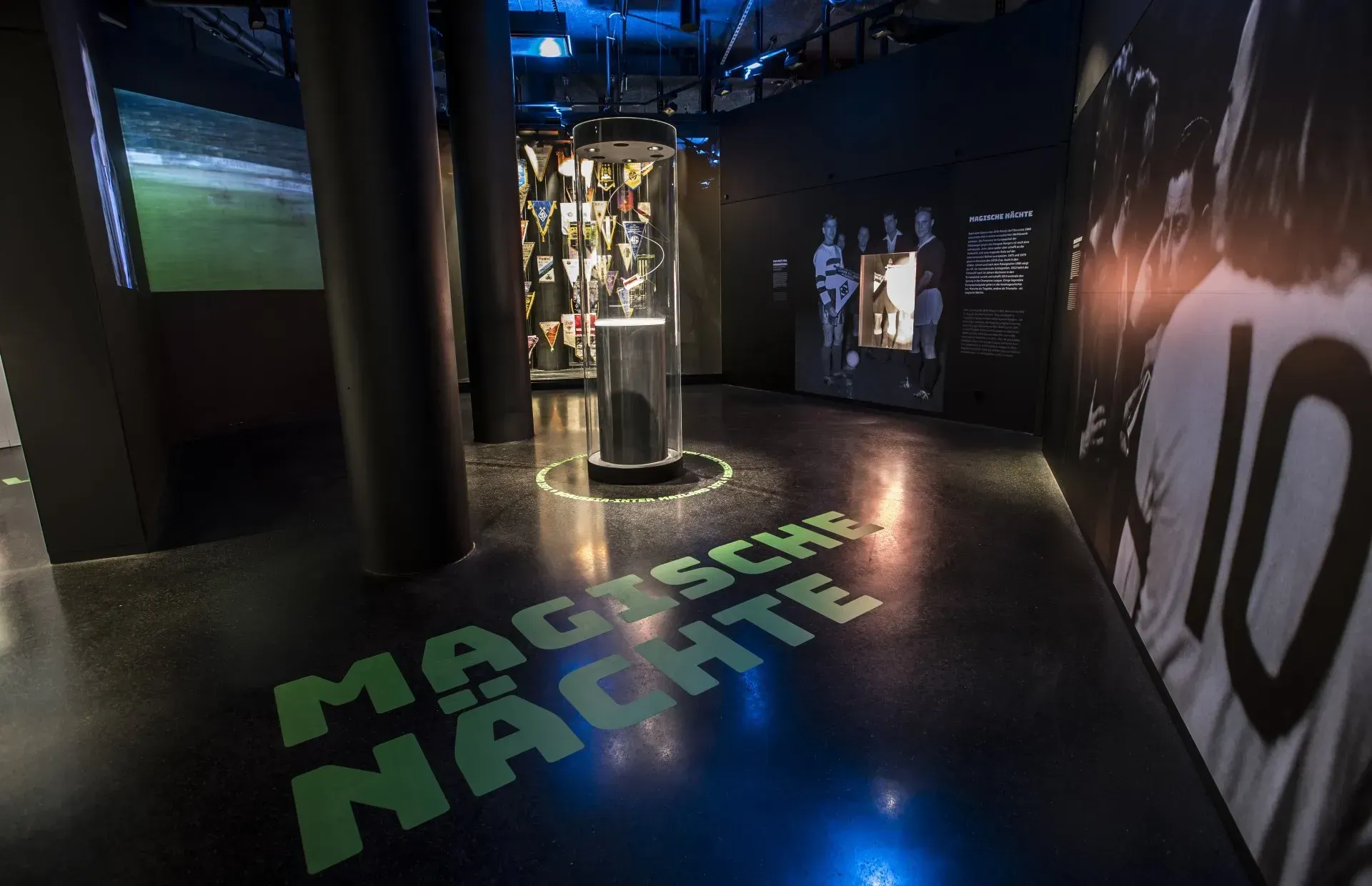 Fohlen Welt Magische Nächte