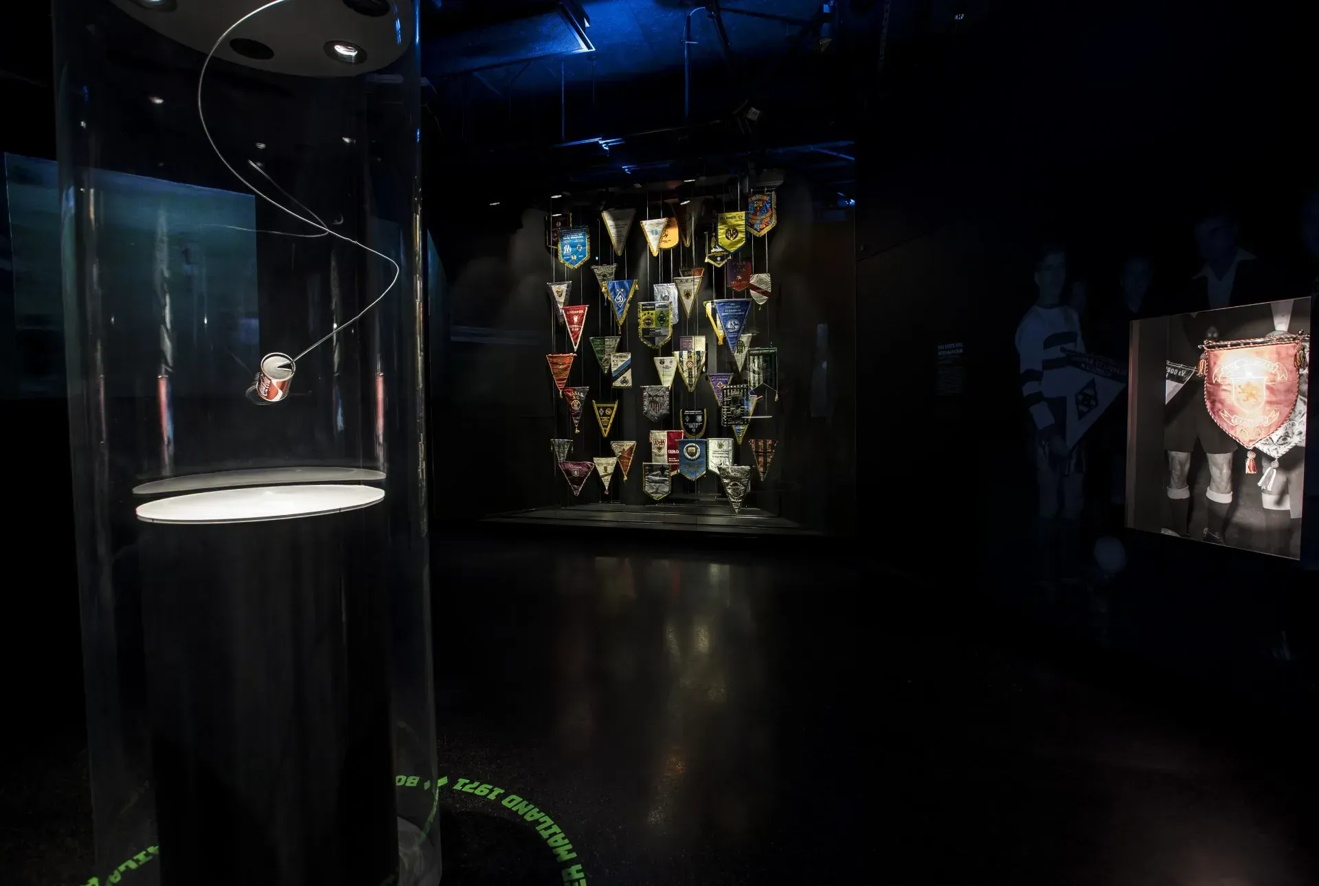 Fohlen Welt Magische Nächte