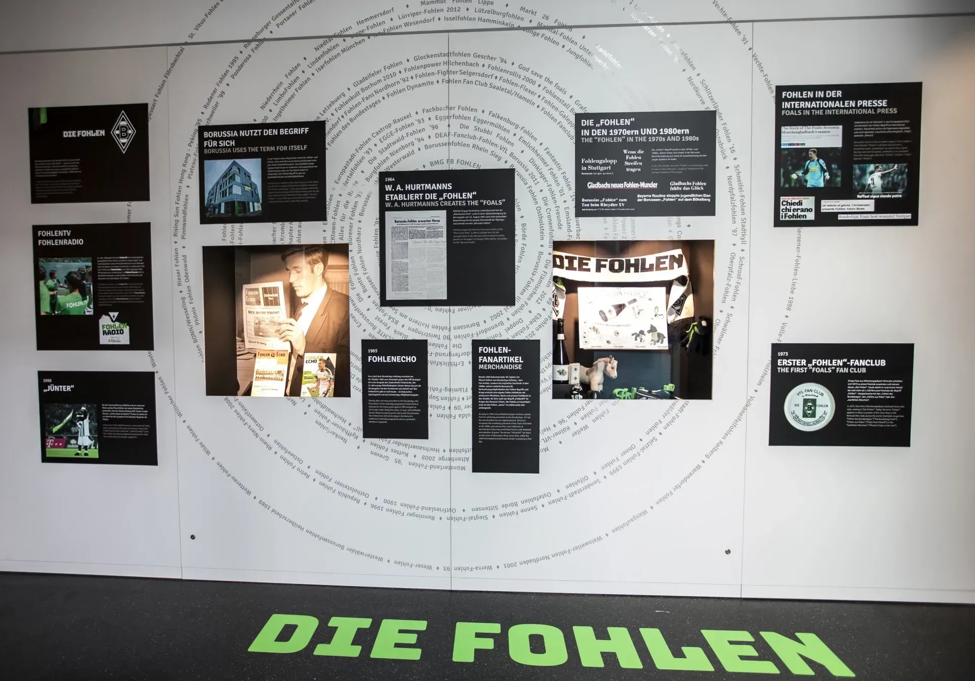 FohlenWelt Die Fohlen