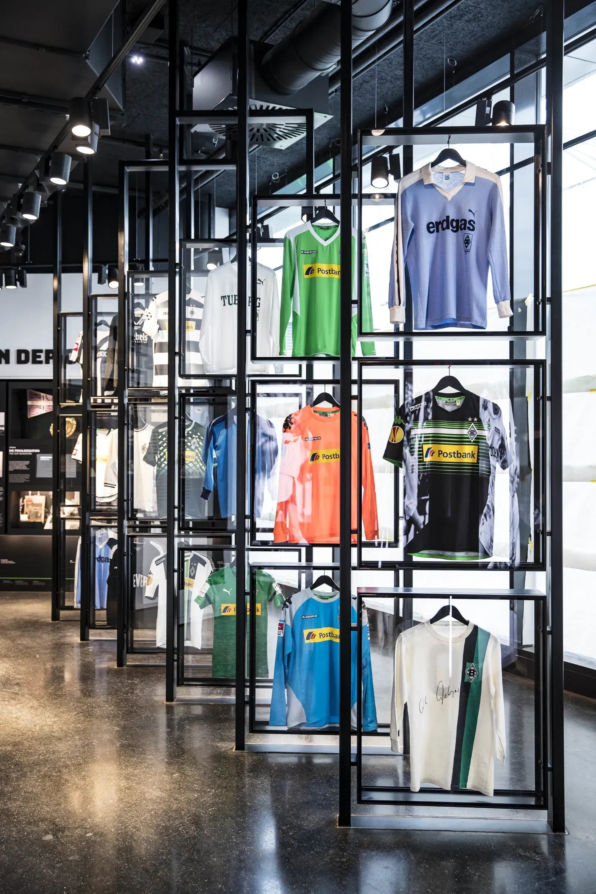 Fohlen Welt Trikotgalerie