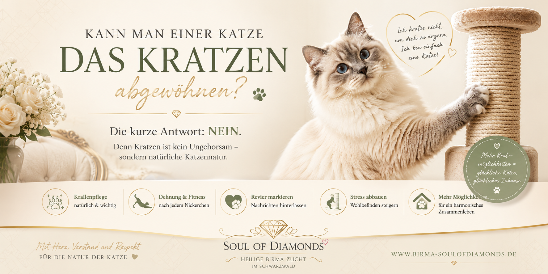 Kann man einer Katze das kratzen abgewöhnen