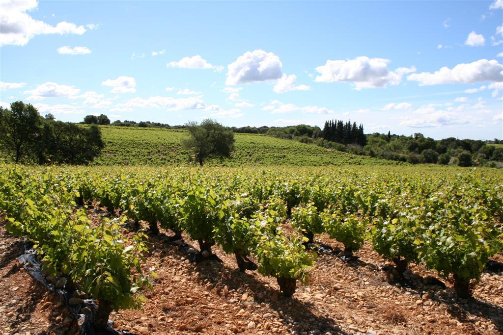 Annonce formations inter-entreprises sur Lunel-Viel en prise de parole en public