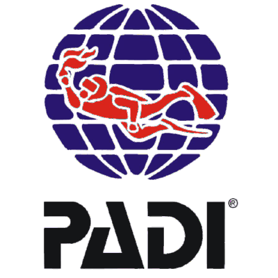 padi en centro de buceo cabo de gata SEA&SUN Centro buceo en Cabo de Gata SEA&SUN Diving Snorkel Bucear Almería