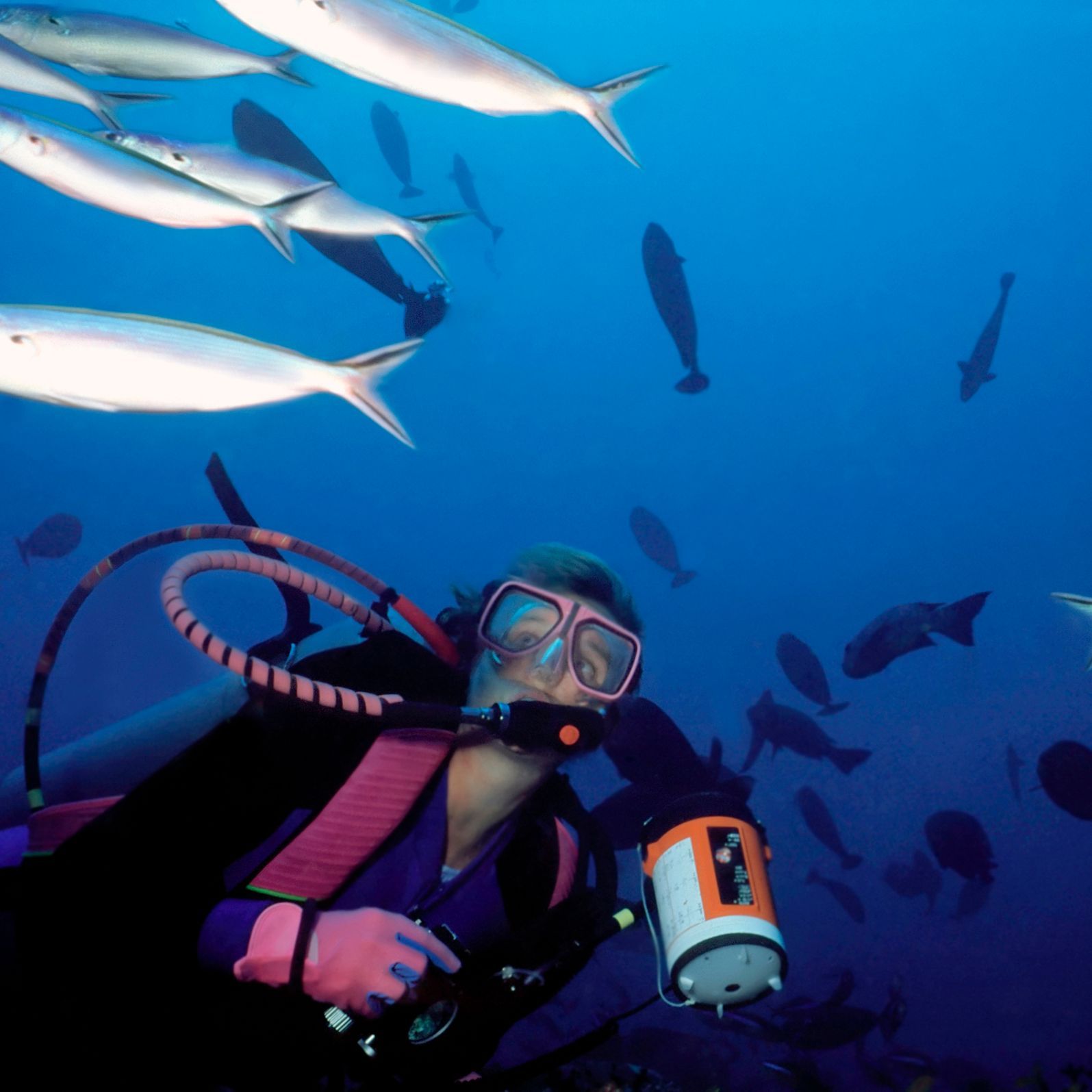Centro de buceo en Cabo de Gata SEA&SUN Diving Center