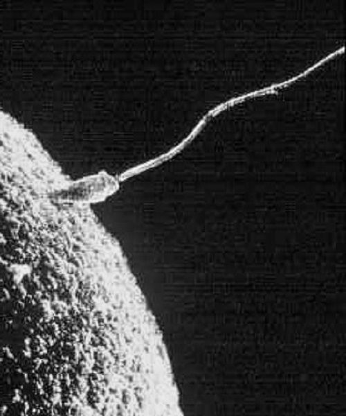 Le début a eu lieu sous de bosnIl faut bien un début et une fin. Le débu