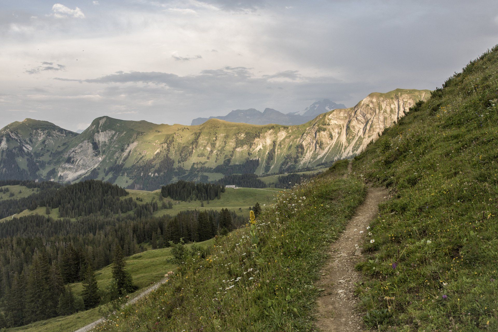 E-Bike Verleih und E-Bike Touren in Oberstdorf und Umgebung. Ihr Sporterlebnis im Sommer.