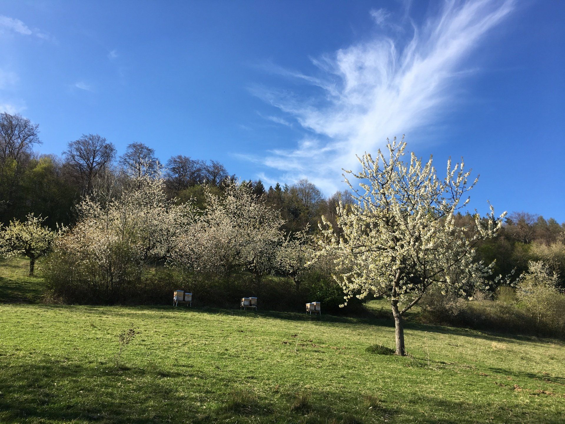 Eine senenvölker in einer strukturreichen Landschaft