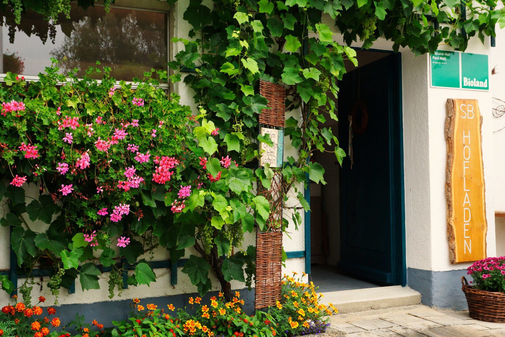 24/7 SB Hofladen von Biohof Moll. Eigene Produkte wie Bio-Eier und unserem Bio-Honig