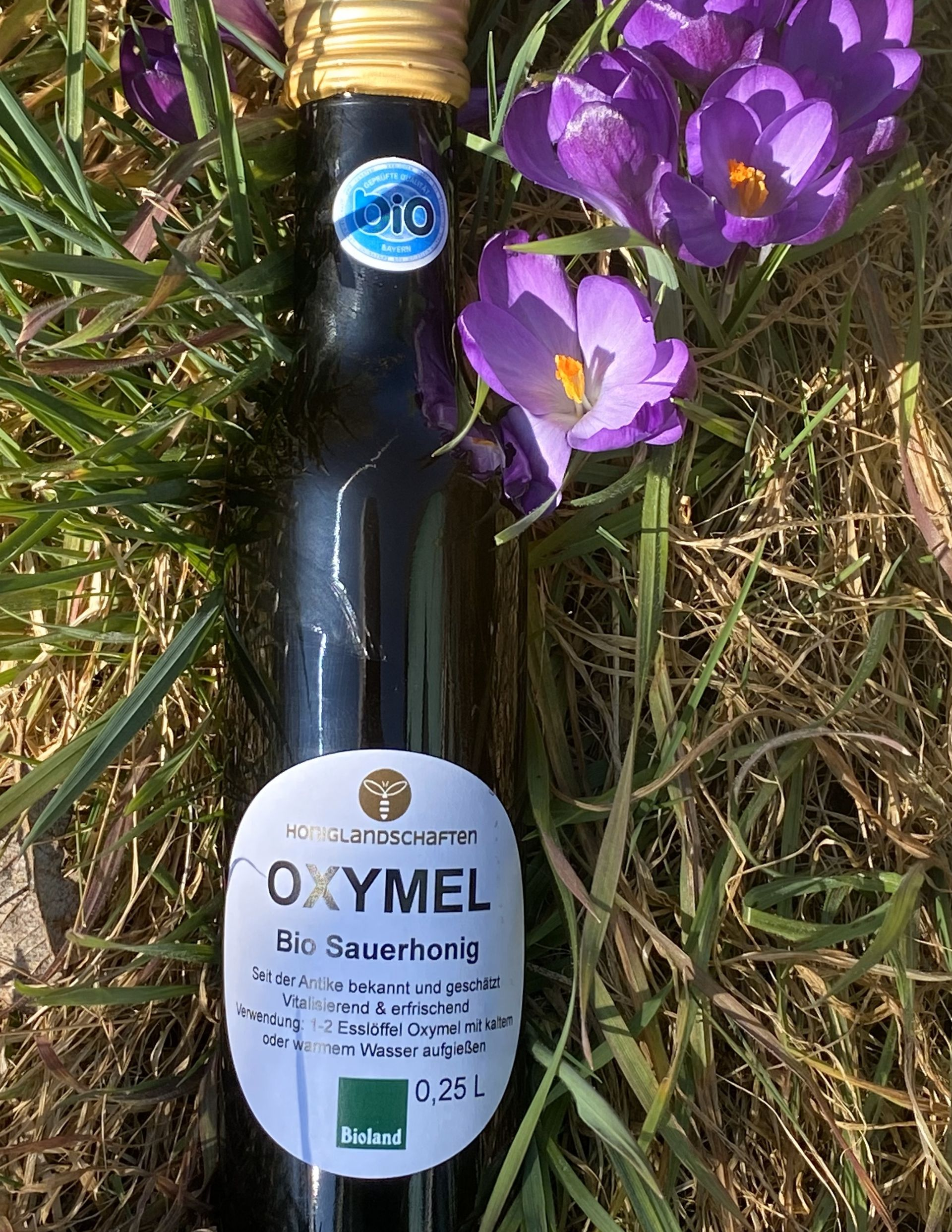 Das Bio-Oxymel der Bioland-Imkerei und Manufaktur Honiglandschaften. Eine Spezialität mit Honigessig