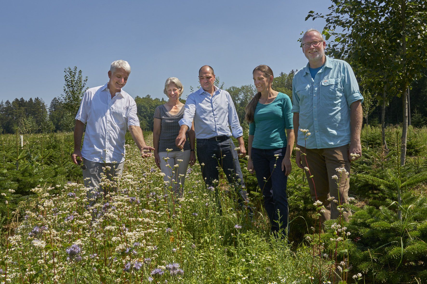 Die Partner des Projekts Die Projektpartner in einem der Blühstreifen