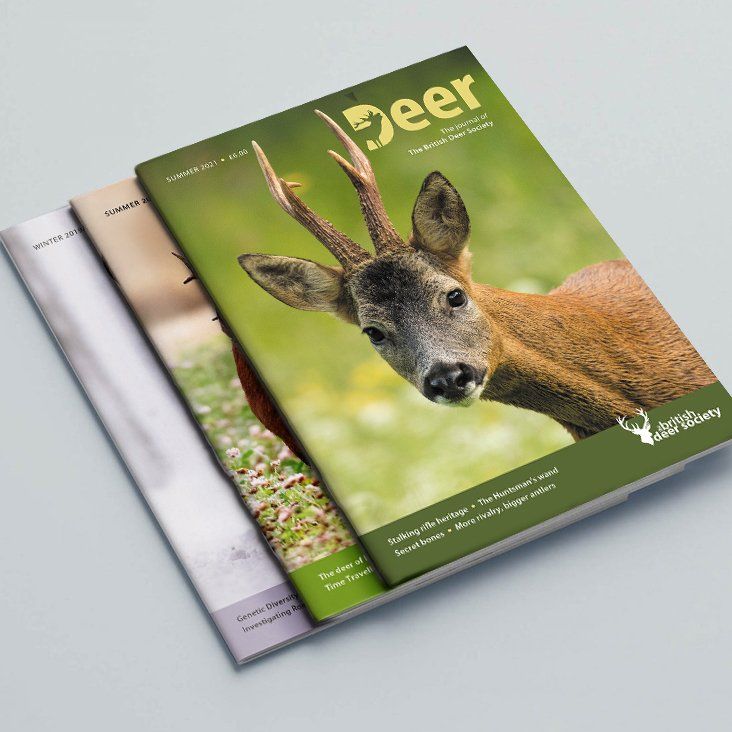 Beautifully designed magazines and books, incorporating considered typography, stunning imagery and easy to navigate layouts