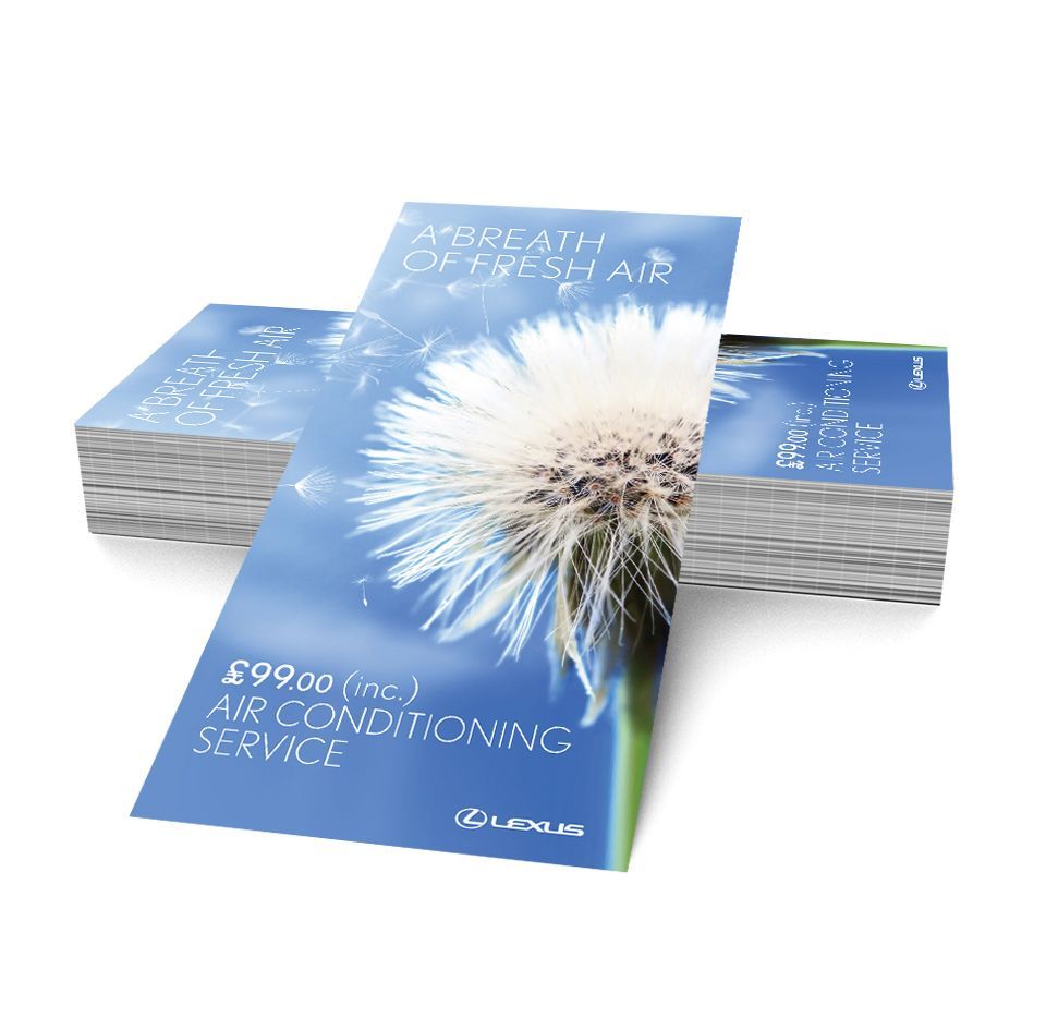 Logo Design and Branding